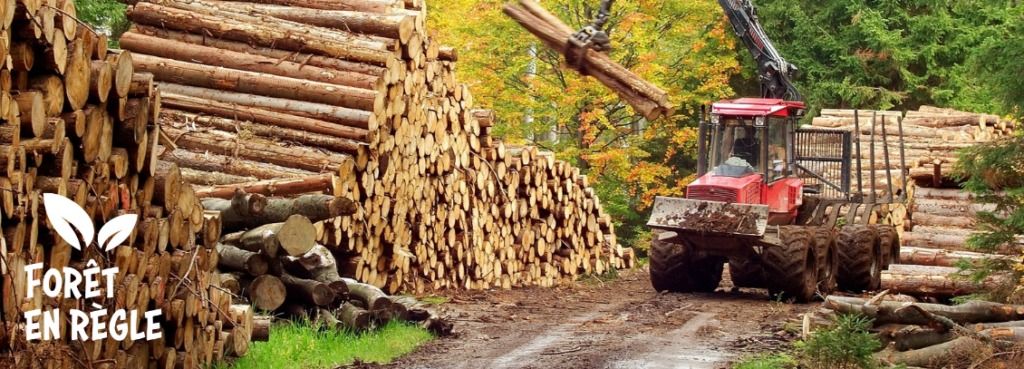 la-foret-en-regle-un-outil-pour-une-gestion-de-vos-chantiers-forestiers-plus-sereine