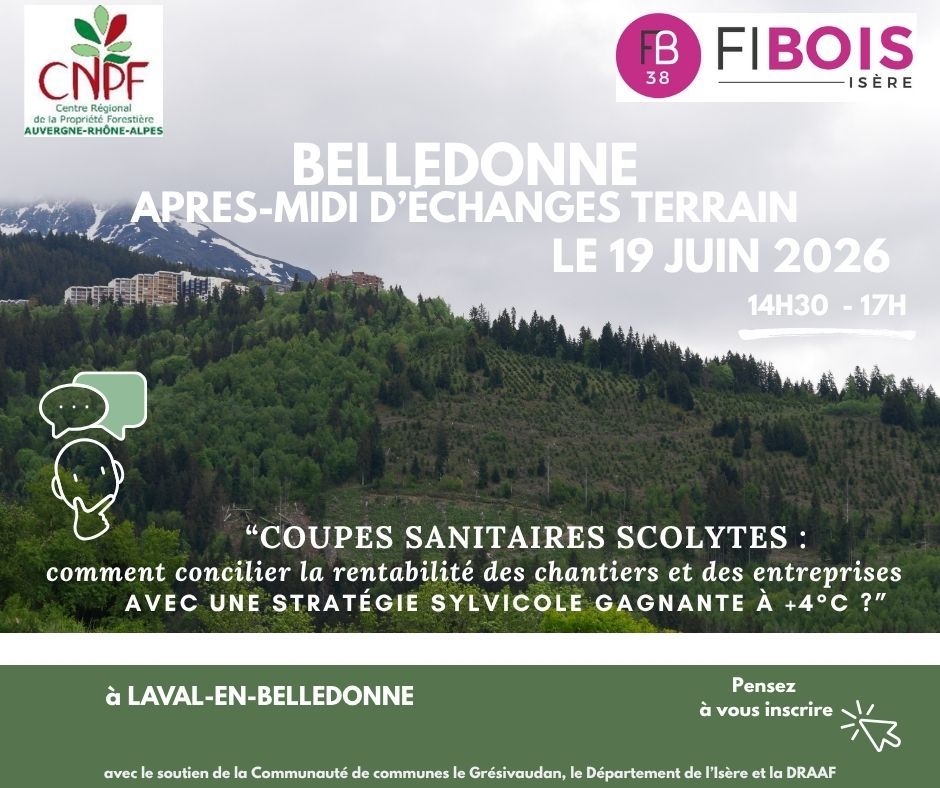 rencontre-terrain-coupes-sanitaires-scolytes-comment-concilier-la-rentabilite-des-chantiers-et-des-entreprises-avec-une-strategie-sylvicole-gagnante-a-4-c