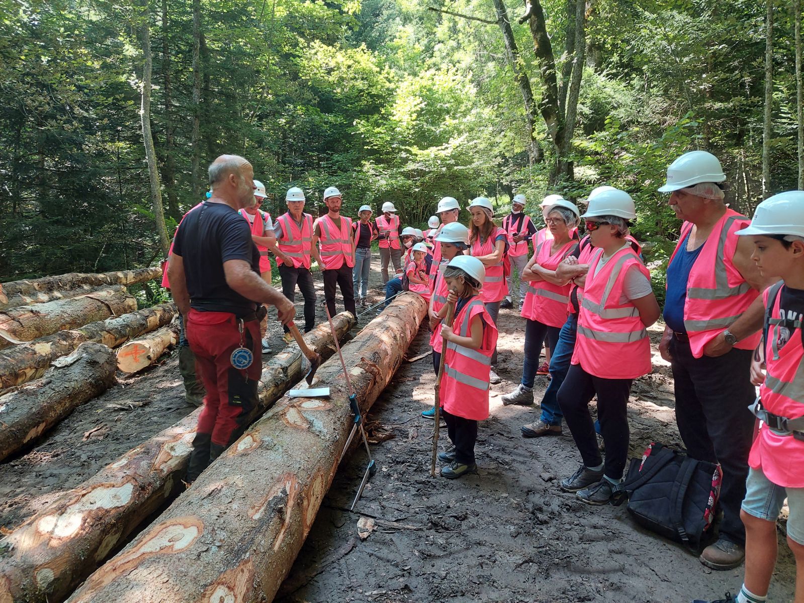 Vercors Drômois - Découvrir toutes les facettes du métier de bûcheron